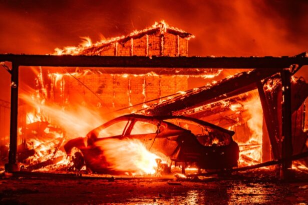 What Caused the Deadly California Wildfires?